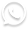 whatsappIcon